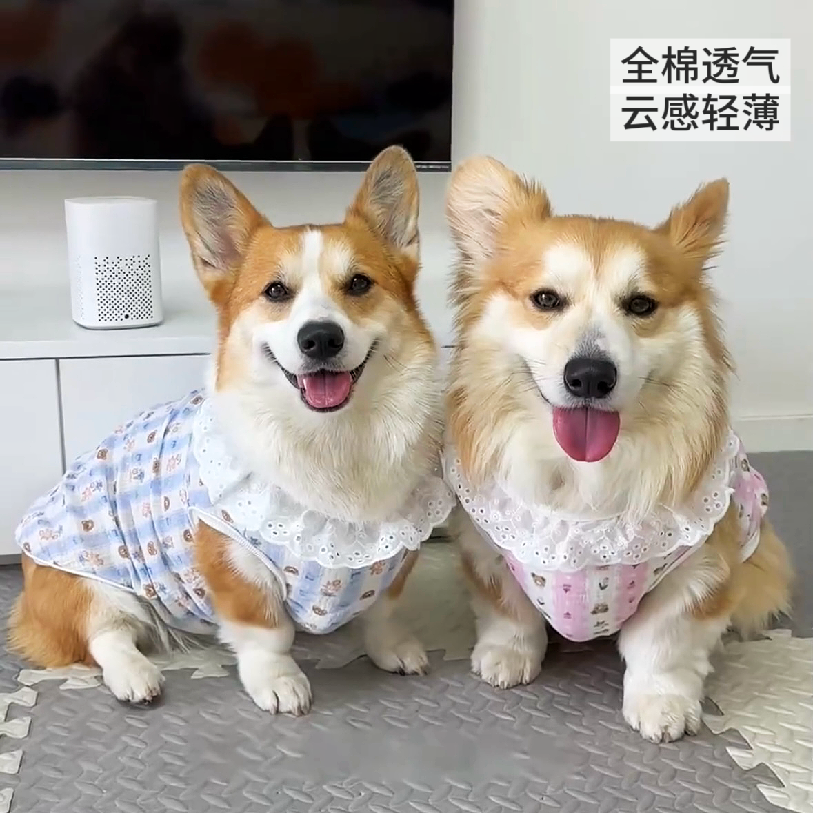中大型狗薄款可爱防掉毛防晒背心