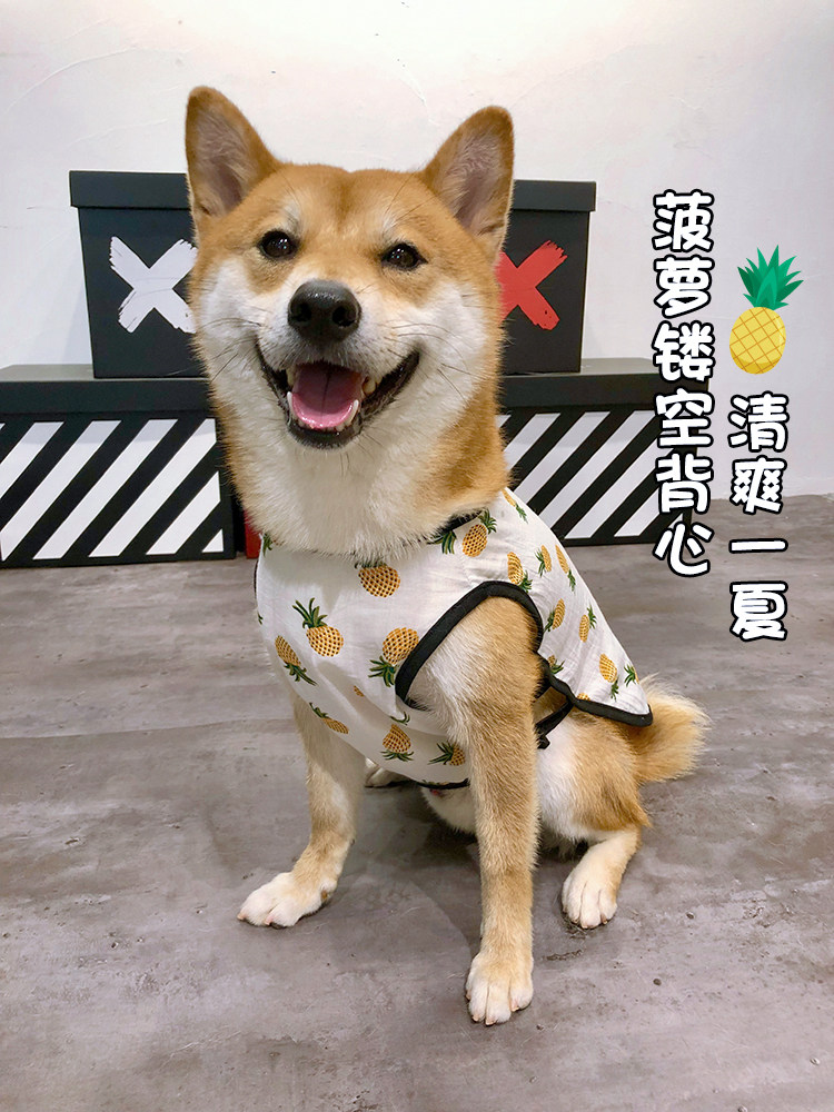 法斗狗背心透气巴哥柯基夏天防晒衣服柴犬可爱防掉毛纯棉衣服薄款