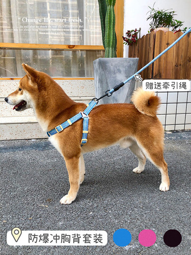 小狗工字胸背带防爆冲防挣脱柴犬雪纳瑞牵引绳幼犬遛狗绳宠物用品 - 封面
