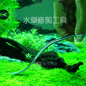 25cm不锈钢水草剪 草缸修剪工具波浪剪