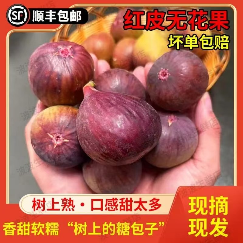 新鲜无花果现摘现发红皮无花果2-5斤紫皮软糯香孕妇水果顺丰发货
