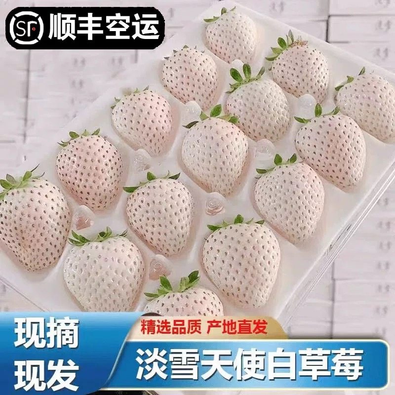 淡雪白草莓顺丰空运新鲜草莓现摘奶油大草莓白雪公主礼盒装包邮
