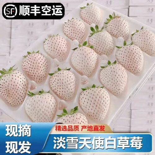 现货新鲜礼盒装草莓空运新鲜