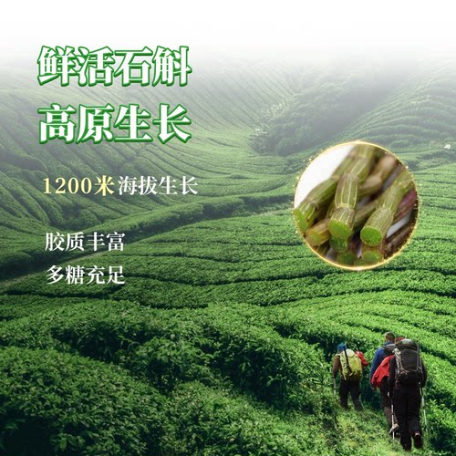 石斛鲜条高原生长无添加多糖充足胶原丰富顺丰包邮