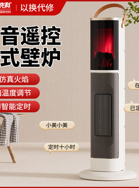 先科暖风机火焰壁炉取暖器家用节能电暖气客厅浴室速热风机电暖器