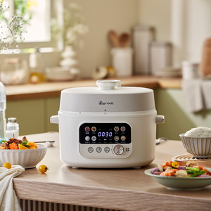 小熊（Bear）YLB-C40W5电压力锅4L 高压锅家用多功能高压快煮智能