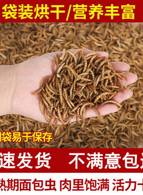 全国香喷喷面包虫干仓鼠小鸟鹦鹉