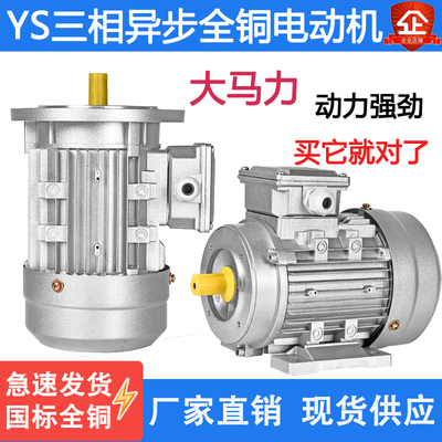 YS7112/7122/7132三相异步电动机