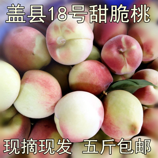 辽宁特产盖州久保桃18号桃甜脆离合毛桃14号桃白桃五斤包邮