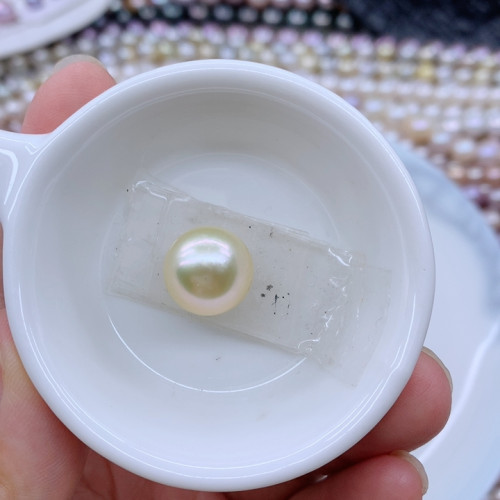 13/14海水金珠高圆