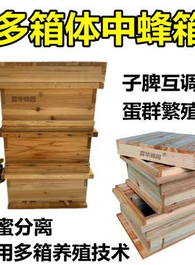 GN箱国宝箱式小型多箱体中蜂箱