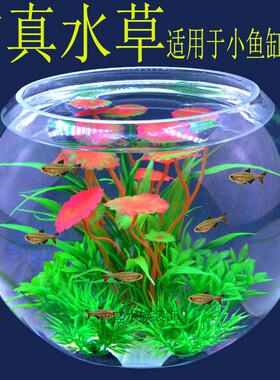 小圆形鱼缸仿真水草装饰套餐