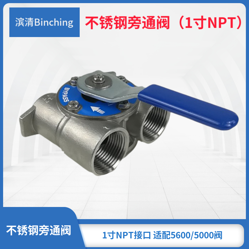 滨清 1寸不锈钢旁通阀 5600 5000控制阀混水旁通阀 软水机旁通阀