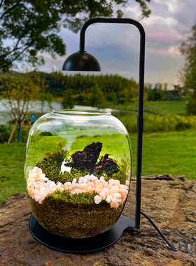 全光谱仿太阳光荫生植物生长灯生态瓶植物灯苔藓灯蕨类LED补光灯