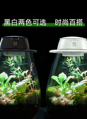 无线充电式植物灯生态瓶微景观苔藓植物生长灯全光谱仿太阳光照