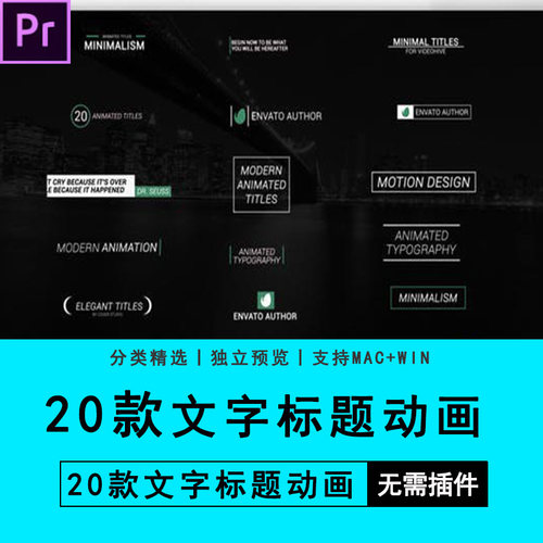 PR预设20组文字标题动画Premiere软件文字辩题转场预设