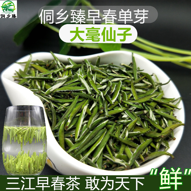 侗乡臻早春绿茶单芽大毫仙子