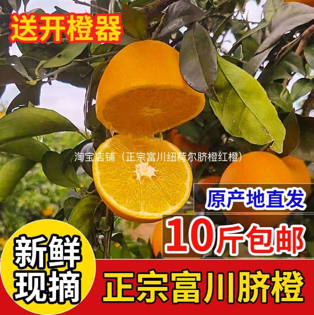 现摘现发广西新鲜水果富川脐橙