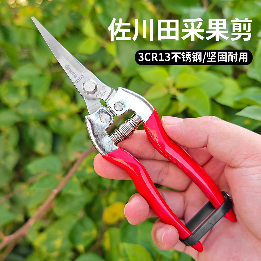 佐川田园艺剪刀采果稀果剪修花剪