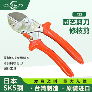 进口修枝剪园艺剪刀剪树枝专用剪刀果树修枝剪刀 蟾虫733台湾原装