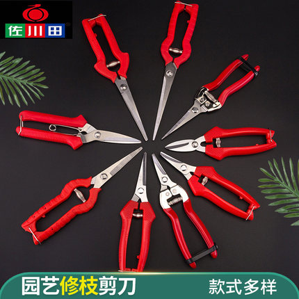佐川田花剪园艺剪刀修枝剪摘果剪花艺葡萄修果采果剪水果专用剪刀