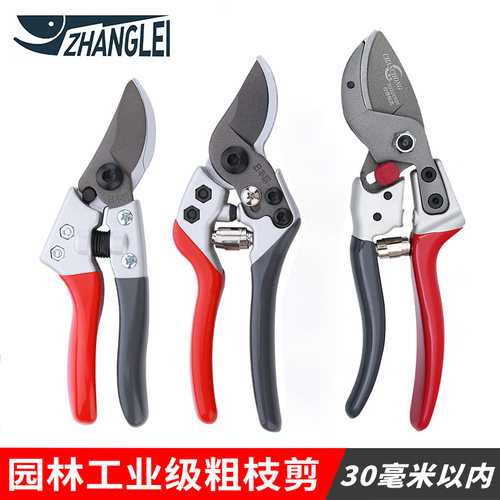 修枝剪园艺剪刀果树修枝专用树枝