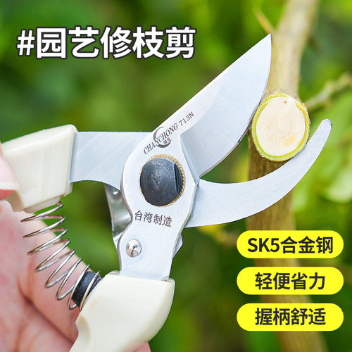 园艺剪刀修枝剪果树修枝专用剪刀