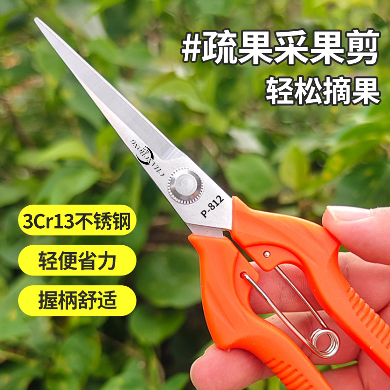 812园艺剪刀修枝剪枝剪树枝专用剪刀花剪蔬果修花摘果剪不锈钢剪