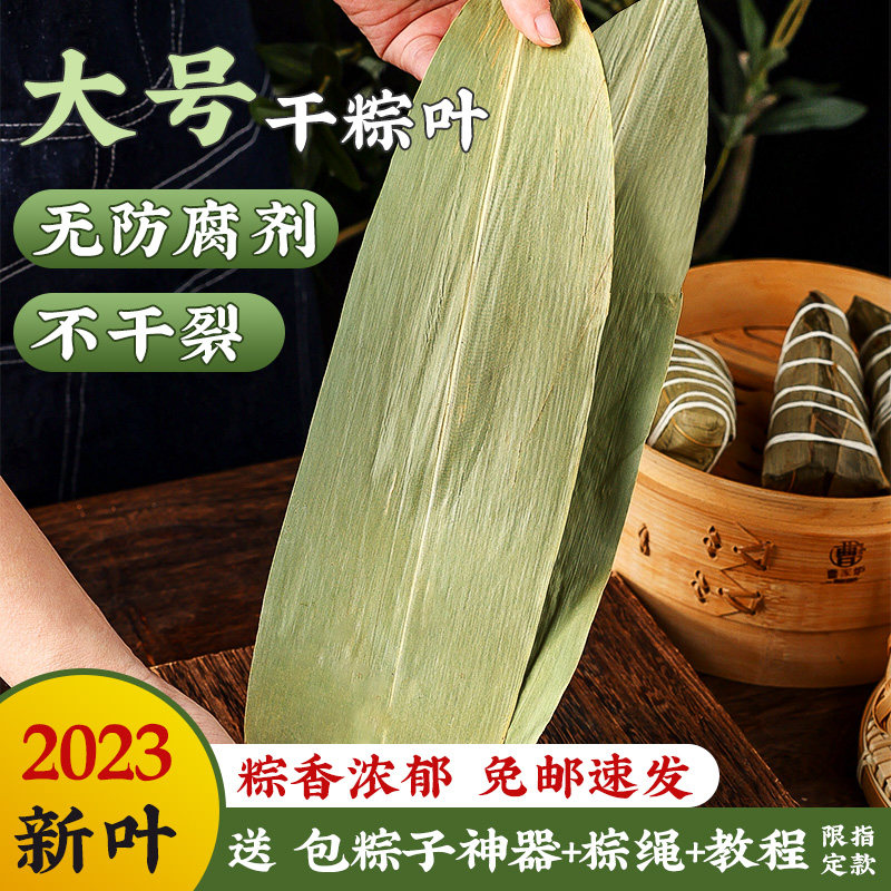 干粽叶大码大号粽子叶免邮麻竹叶新鲜家用包粽子端午商家用100片_虎窝淘