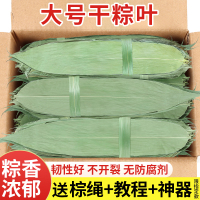 大號(hào)干粽葉包粽子專用新鮮棕葉