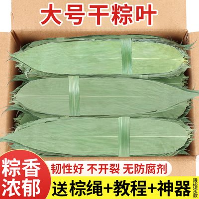 大号干粽叶包粽子专用新鲜棕叶