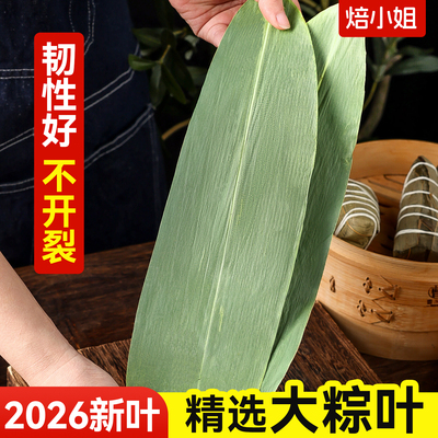 干粽叶包粽子专用新鲜大号批发棕绳旗舰店端午箬叶野生芦苇商材料