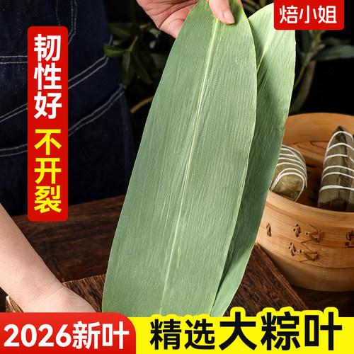 焙小姐干粽叶包粽子专用材料批发