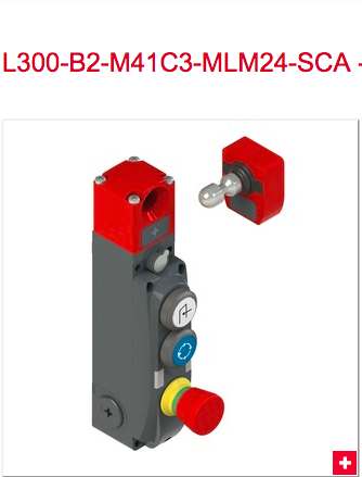 L300-B1-M41C3-MLM24-SCA L300-B2-M41C3-MLM24-SCA