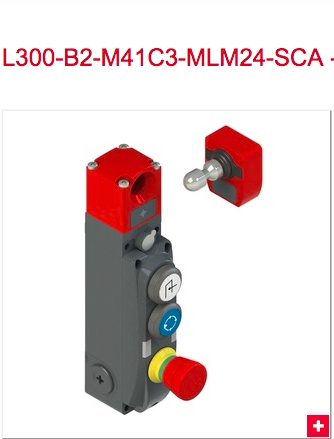 L300-B1-M41C3-MLM24-SCA L300-B2-M41C3-MLM24-SCA