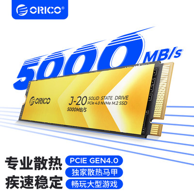 Orico/奥睿科2280固态硬盘