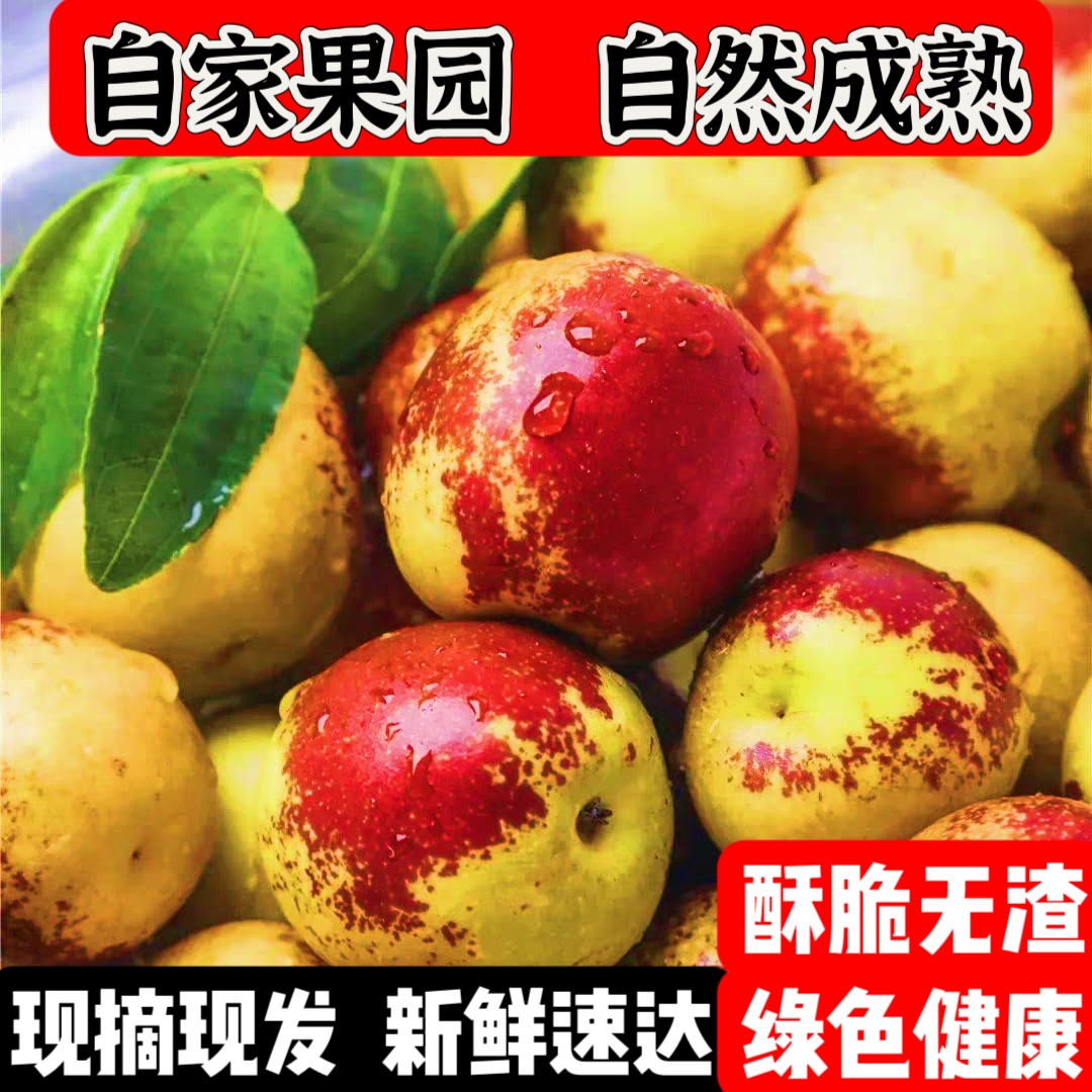 山东沾化冬枣新鲜枣子自家种植超大脆甜多汁时令水果脆枣大枣包邮