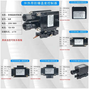 电热带接线盒伴热带用配件防爆尾端接线盒防爆终端220V/380V电源