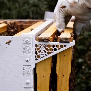 Frame Hive Holder养蜂塑料蜜蜂箱支撑架蜂箱支架 Bee 独立站新款