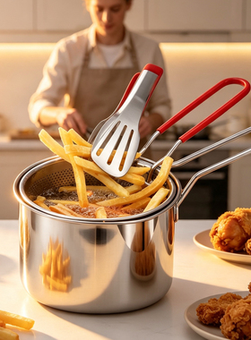 跨境Deep fryer 304不锈钢油炸锅家用燃气迷你锅带滤网省油小炸锅