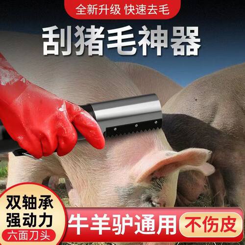 Electric Pig Hair Shaver电动刮猪毛刀专用不锈钢去毛刀拔毛刮毛