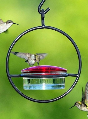 户外 hummingbird feeder 悬挂金属简易鸟类庭院花园喂水喂食器