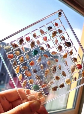 Acrylic Magnetic Seashell Display Box 亚克力磁性贝壳展示盒