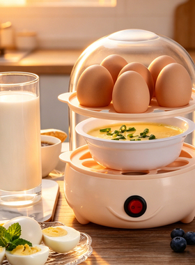 跨境爆款Egg boiler煮蛋器小型蒸蛋器迷你煮鸡蛋羹机家用早餐神器