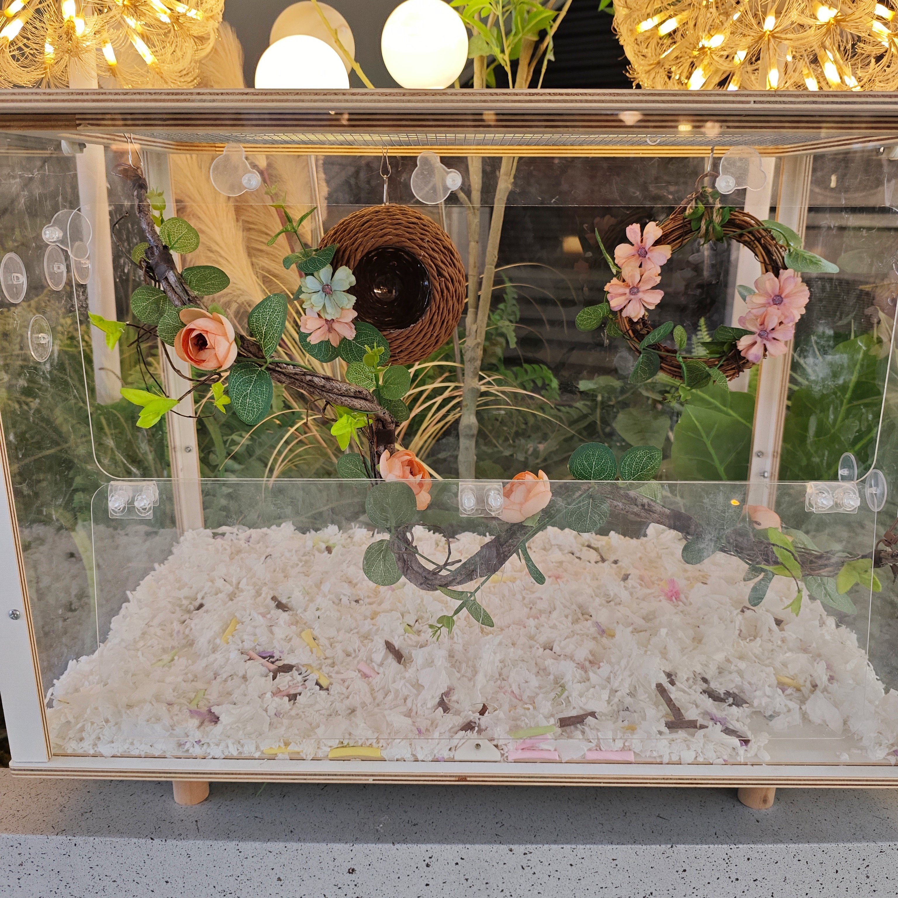 【如画】虎皮牡丹鹦鹉笼子造景玄凤玩具用品站杆爬梯秋千吊篮吊环,宠物/宠物食品及用品,鸟玩具,淘宝优惠券,粉丝福利购,淘宝优惠卷