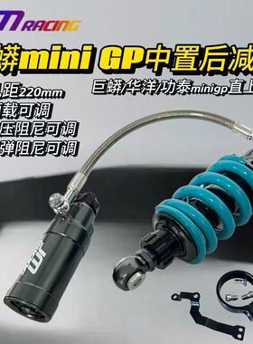 巨蟒miniGP中置后减震避震预载阻尼可调NSF100华洋功泰巨蟒miniGP
