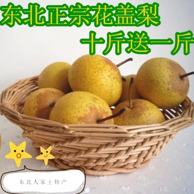 正宗东北辽宁绥中花盖梨酸酸甜甜可做冻梨自家果园直发新鲜花梨