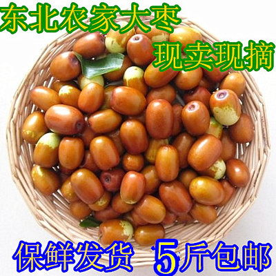 新鲜水果大枣葫芦岛大枣