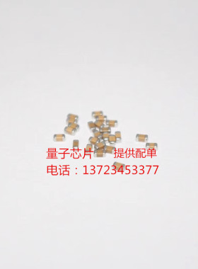 CL32A107MPVNNNE  3225 A 100uF  1210