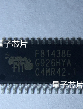 F81438G  F81438  TSSOP-28